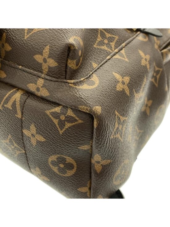 Louis Vuitton Monogram Palm Springs Backpack PM main image 6